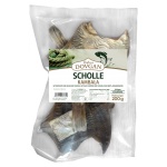 DOVGAN Scholle Kambala